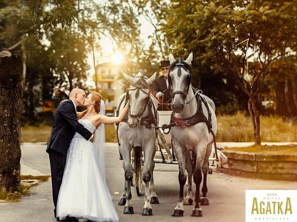 Novomanželia s koňmi v areáli Kaštieľa Agatka