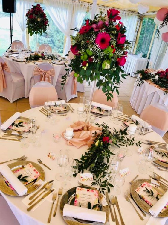 Svadba pri Bratislave